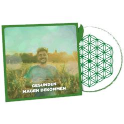 Gesunden Magen Bekommen