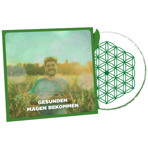 Gesunden Magen Bekommen