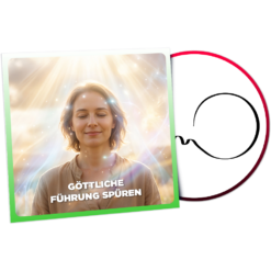Göttliche Führung Spüren