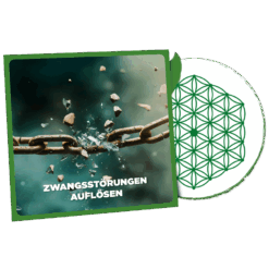 Zwangsstörungen Auflösen